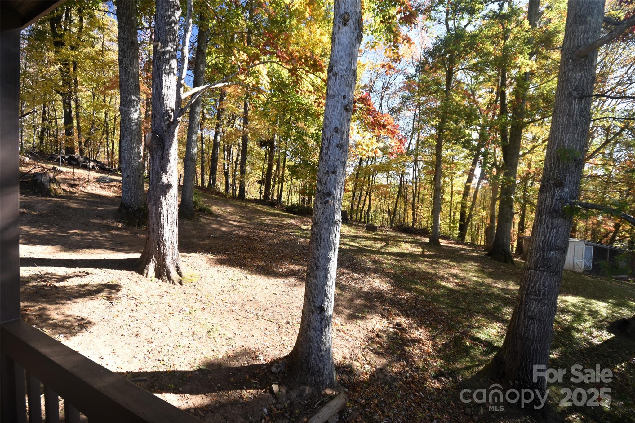316 Messer Road Waynesville, NC 28786 - Photo 15 of 48 a view of a backyard of the tree