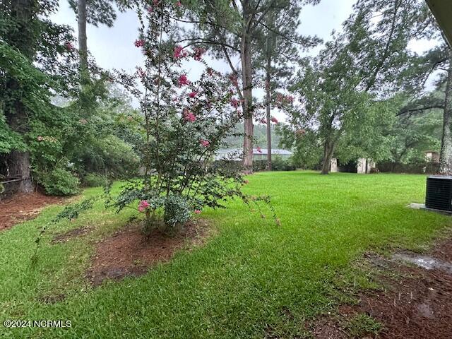 409 Hardy Avenue New Bern, NC 28560 - Photo 14 of 14 IMG_4606