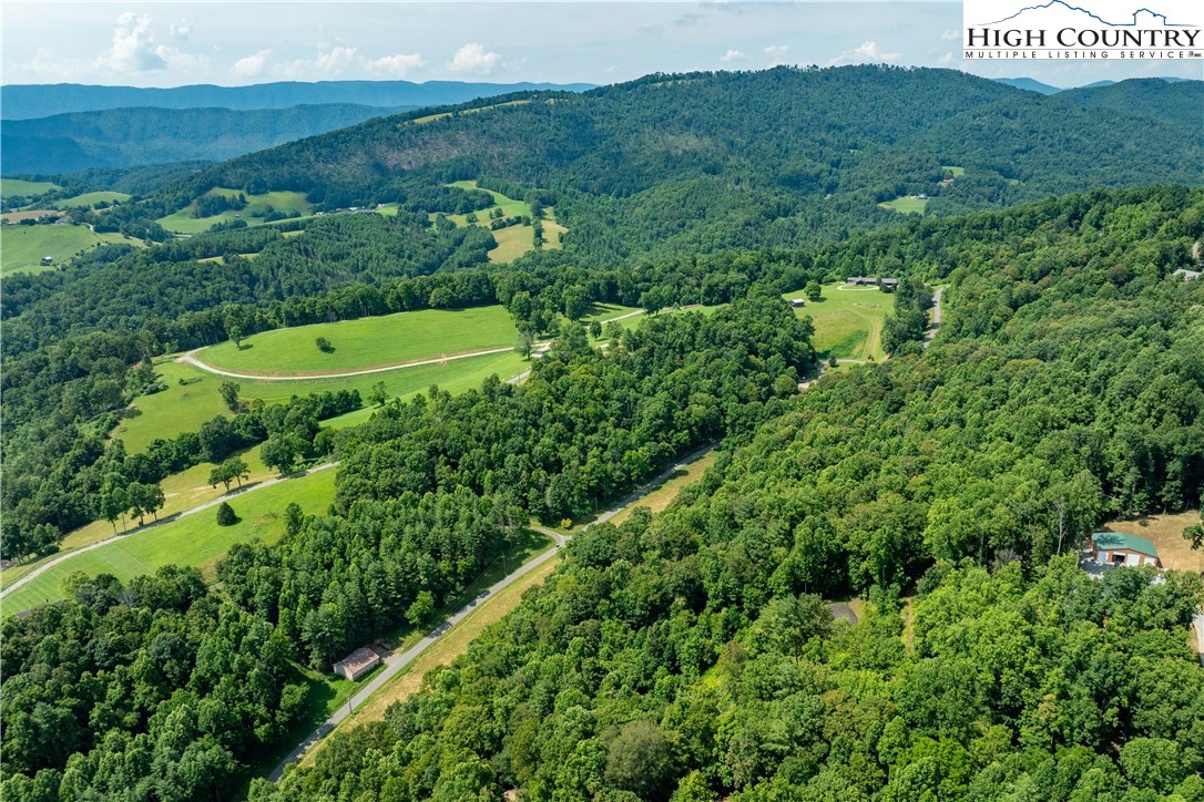 Lot 31 Lake Ridge Butler, TN 37640 - Photo 12 of 31 a view of a back yard