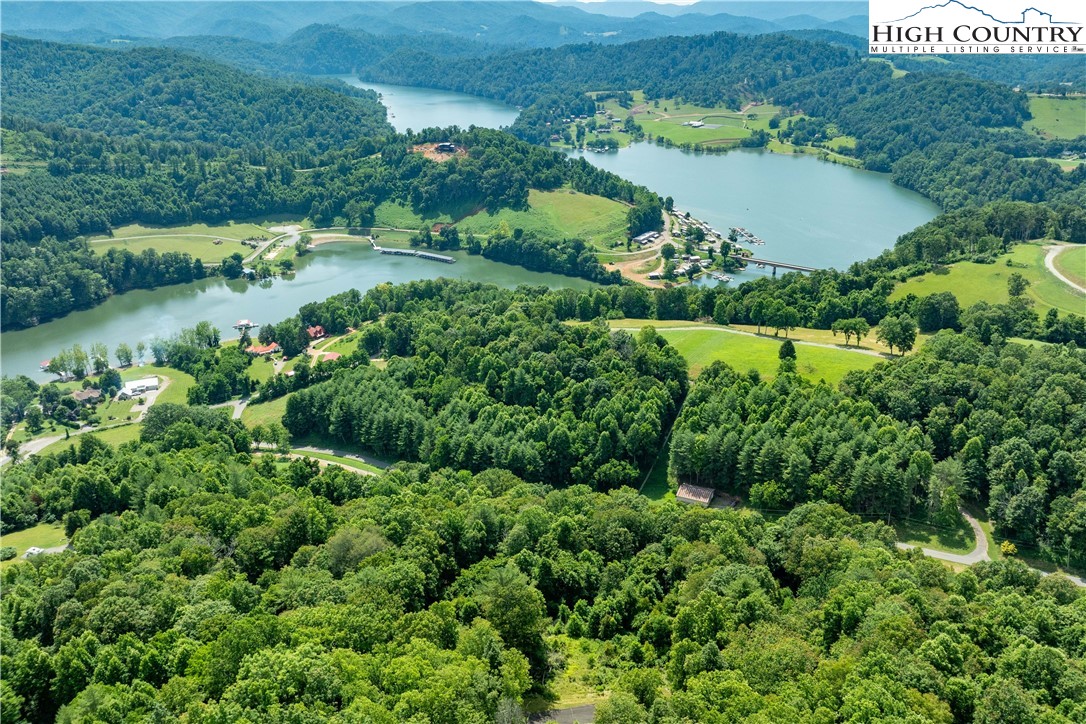 Lot 31 Lake Ridge Butler, TN 37640 - Photo 18 of 31 an aerial view of a house with a yard and lake view