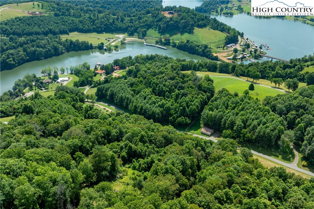 Lot 31 Lake Ridge Butler, TN 37640 - Photo 20 of 31 an aerial view of a houses with a lake view
