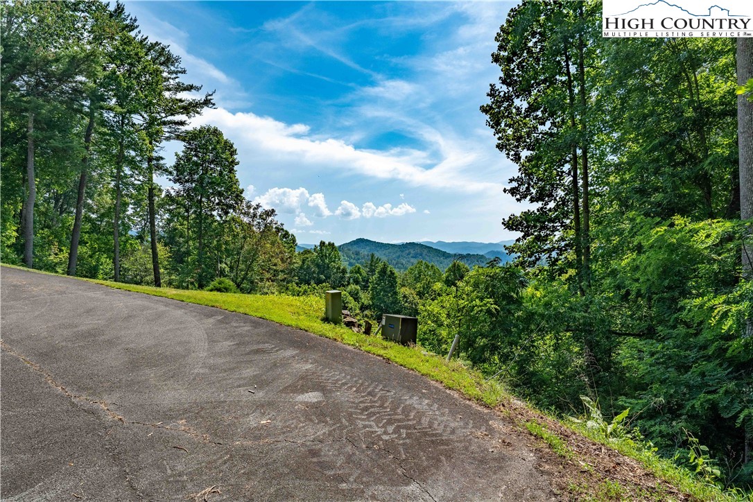 Lot 31 Lake Ridge Butler, TN 37640 - Photo 27 of 31 a view of a road with a yard