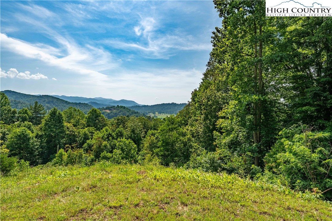 Lot 31 Lake Ridge Butler, TN 37640 - Photo 28 of 31 a view of a bunch of trees and bushes