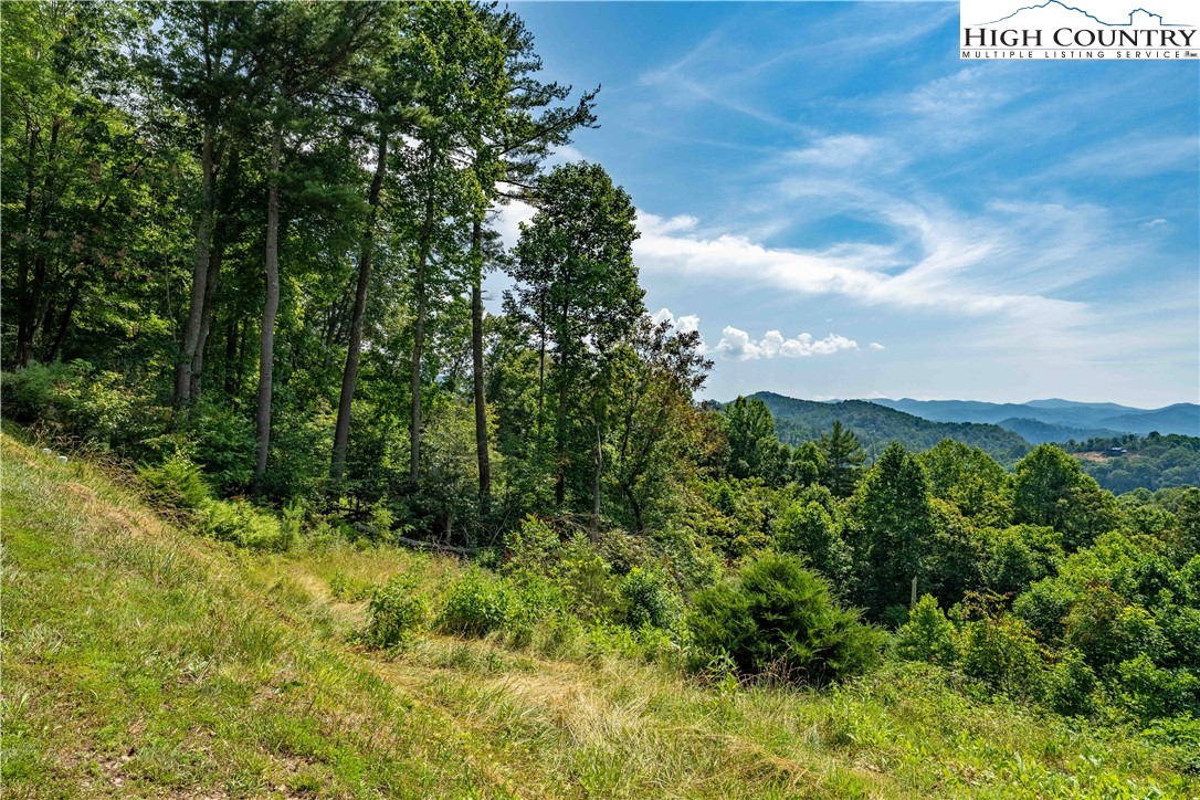 Lot 31 Lake Ridge Butler, TN 37640 - Photo 29 of 31 a view of a lush green forest with lawn chairs