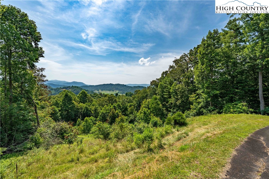Lot 31 Lake Ridge Butler, TN 37640 - Photo 30 of 31 a view of a yard with an trees