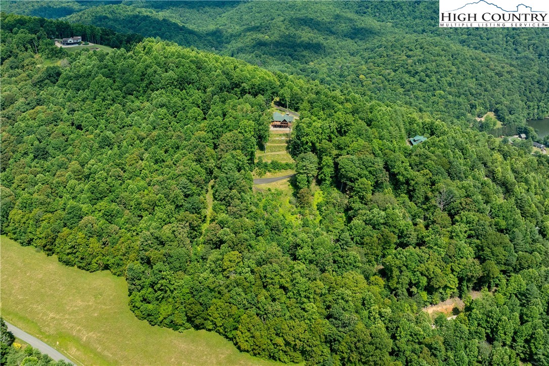 Lot 31 Lake Ridge Butler, TN 37640 - Photo 4 of 31 a view of a lush green forest with lots of trees