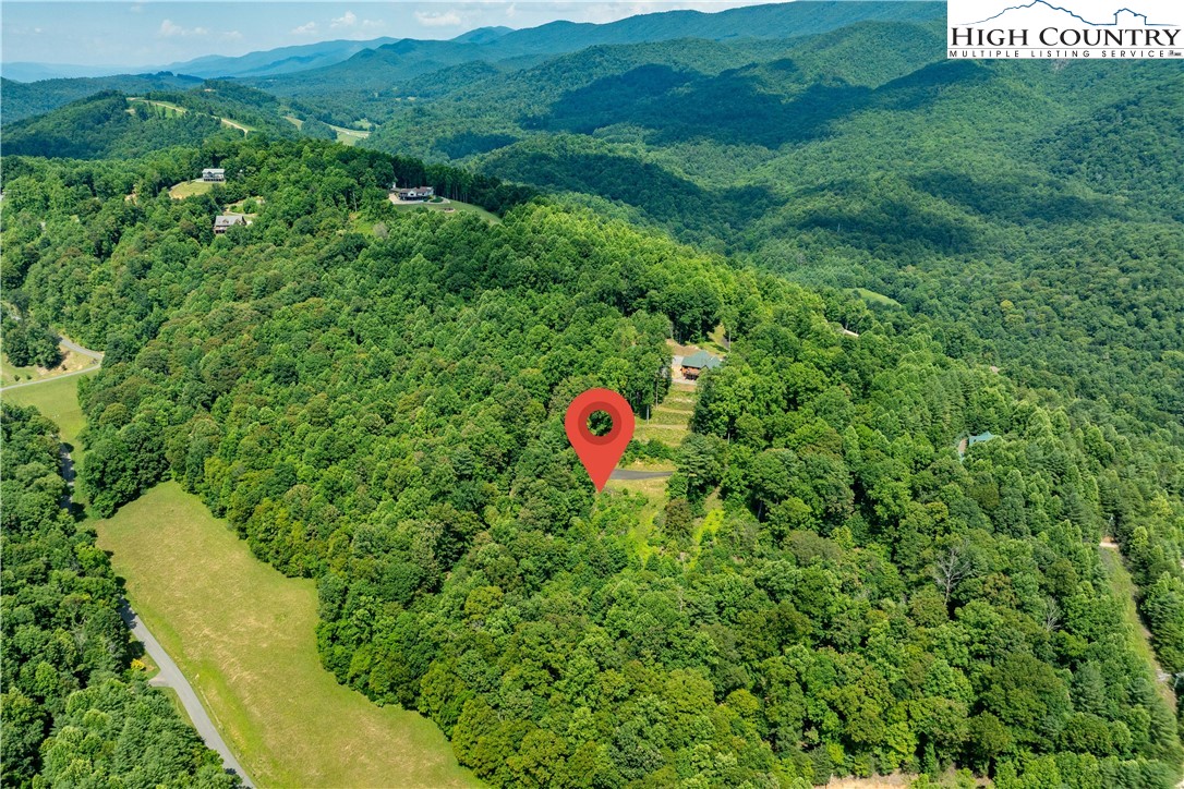 Lot 31 Lake Ridge Butler, TN 37640 - Photo 5 of 31 a aerial view of a house with a backyard