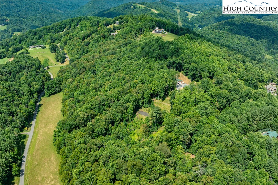 Lot 31 Lake Ridge Butler, TN 37640 - Photo 8 of 31 a view of a lush green forest with lots of trees