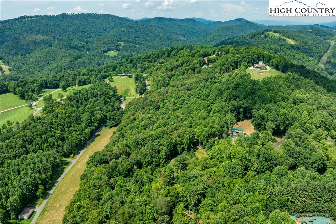 Lot 31 Lake Ridge Butler, TN 37640 - Photo 10 of 31 a view of a lush green forest with lots of trees