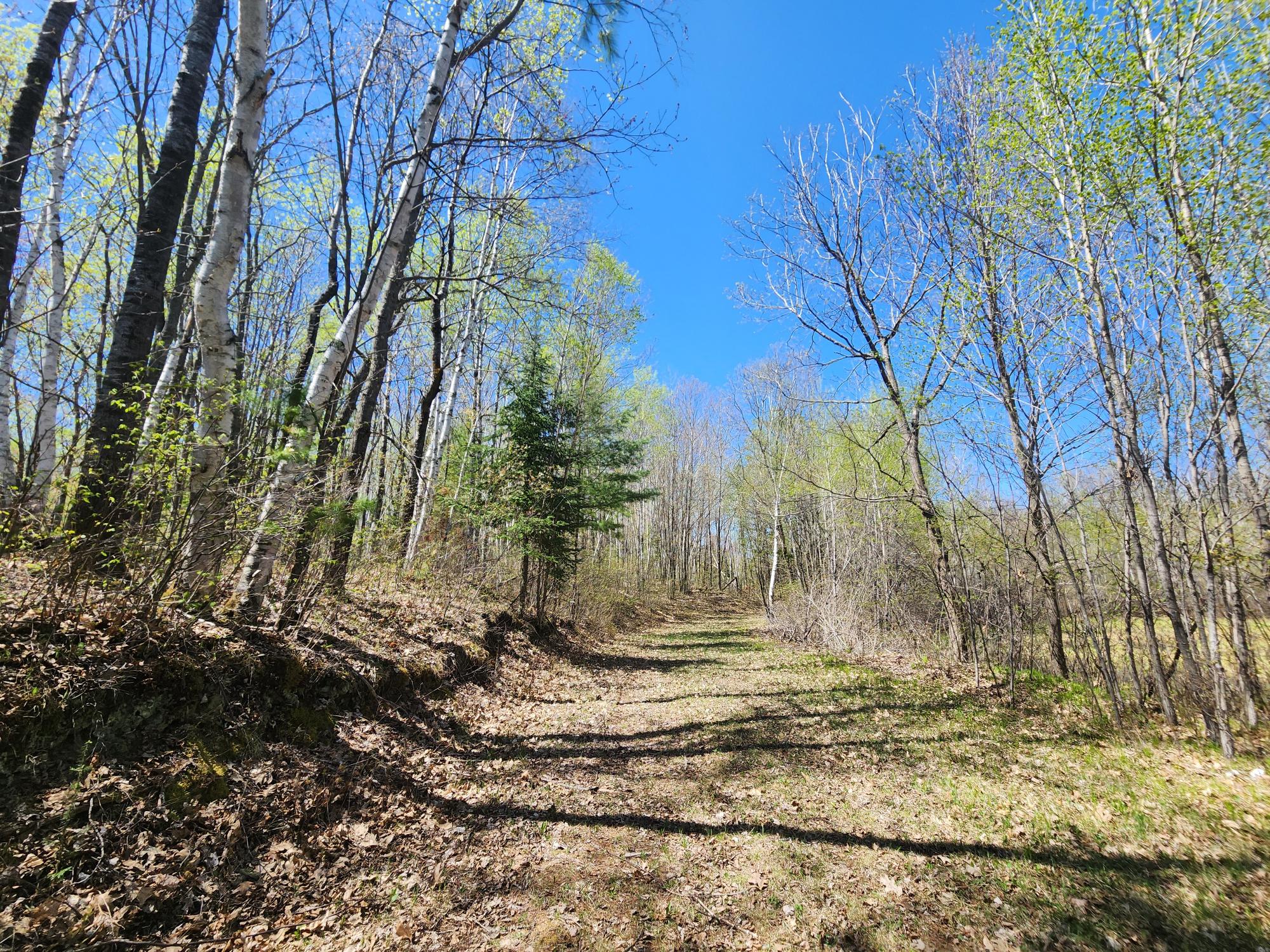109-ac Sutton Road Minocqua, WI 54548 - Photo 22 of 26 Gallery Image 22
