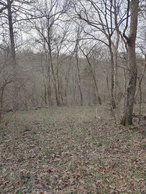 1700 Cummins Ferry Road Salvisa, KY 40372 - Photo 15 of 16 2243988511247996498
