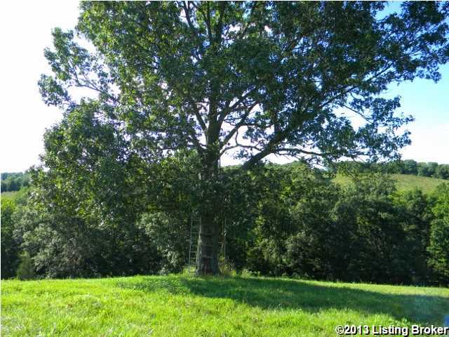 1457 Van Buren Road Mount Eden, KY 40046 - Photo 7 of 25 Additional Photo