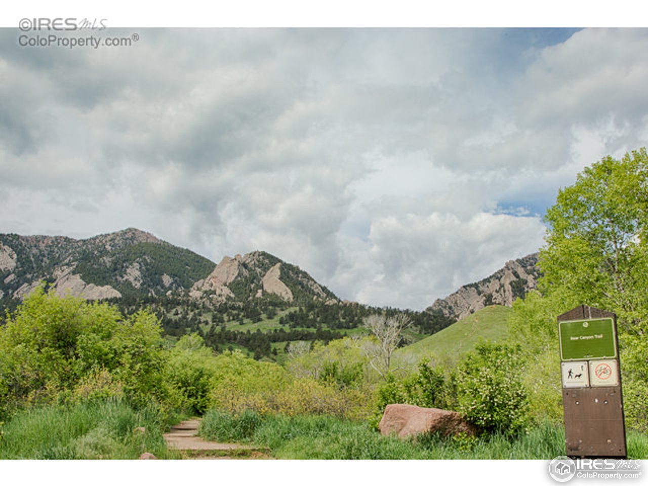 1715 View Point Road Boulder, CO 80305 - Photo 32 of 33 a view of a green field with lots of bushes