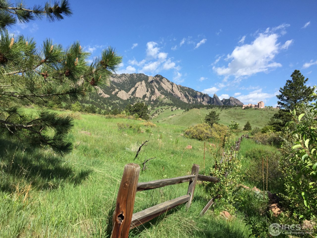1715 View Point Road Boulder, CO 80305 - Photo 5 of 33 a view of a lush green field