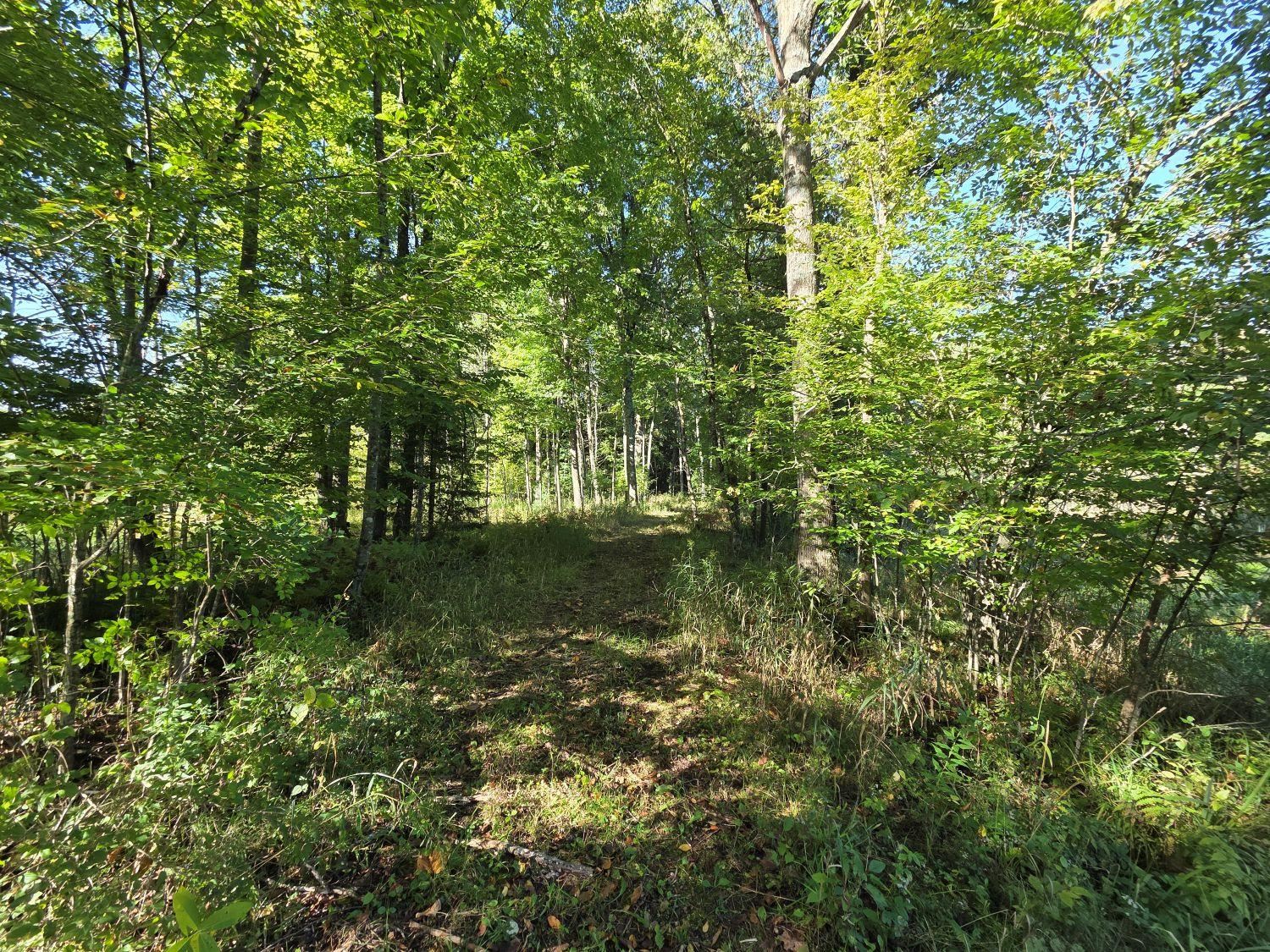 River Road, Unit 9 Suring, WI 54174 - Photo 16 of 24 Gallery Image 16