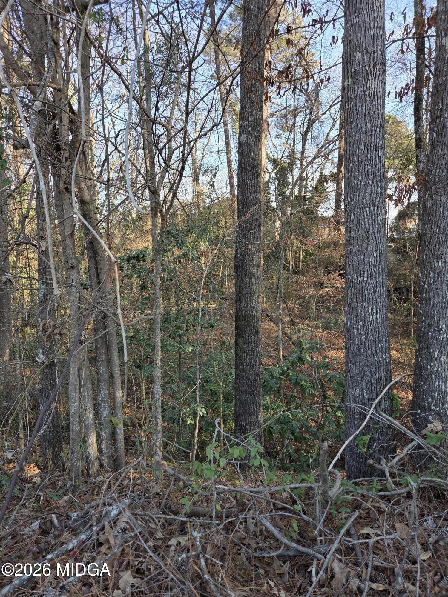 1976 Long Ridge Drive Macon, GA 31211 - Photo 2 of 3 1000017600