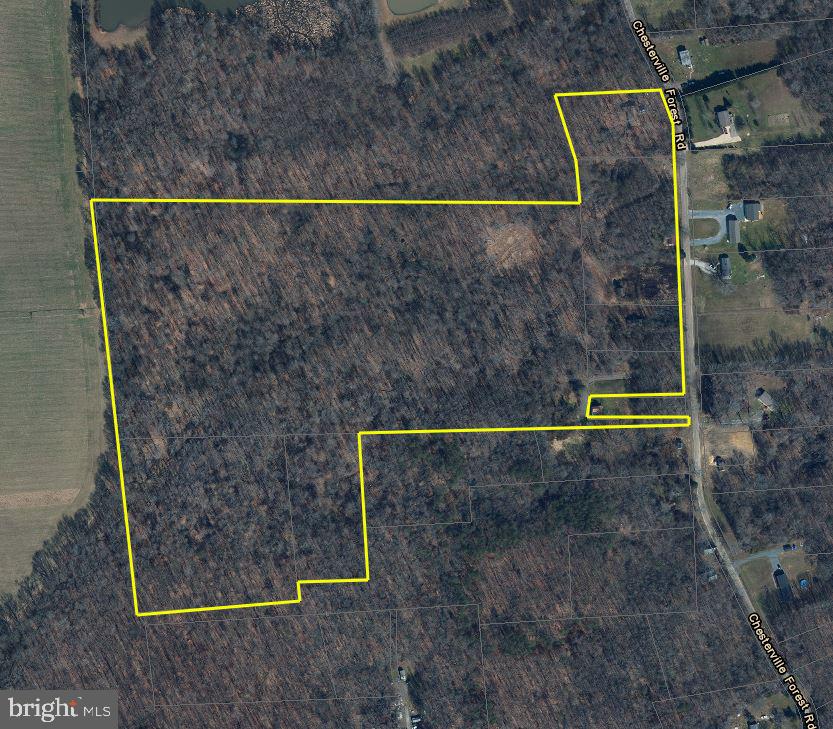10698 Chesterville Forest Road Millington, MD 21651 - Photo 20 of 20 Gallery Image 20