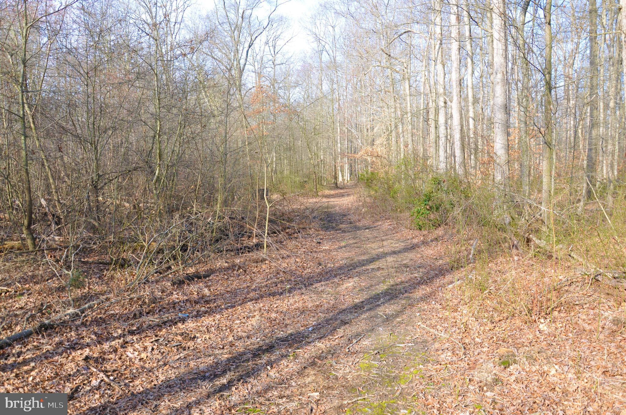 10698 Chesterville Forest Road Millington, MD 21651 - Photo 10 of 20 Gallery Image 10