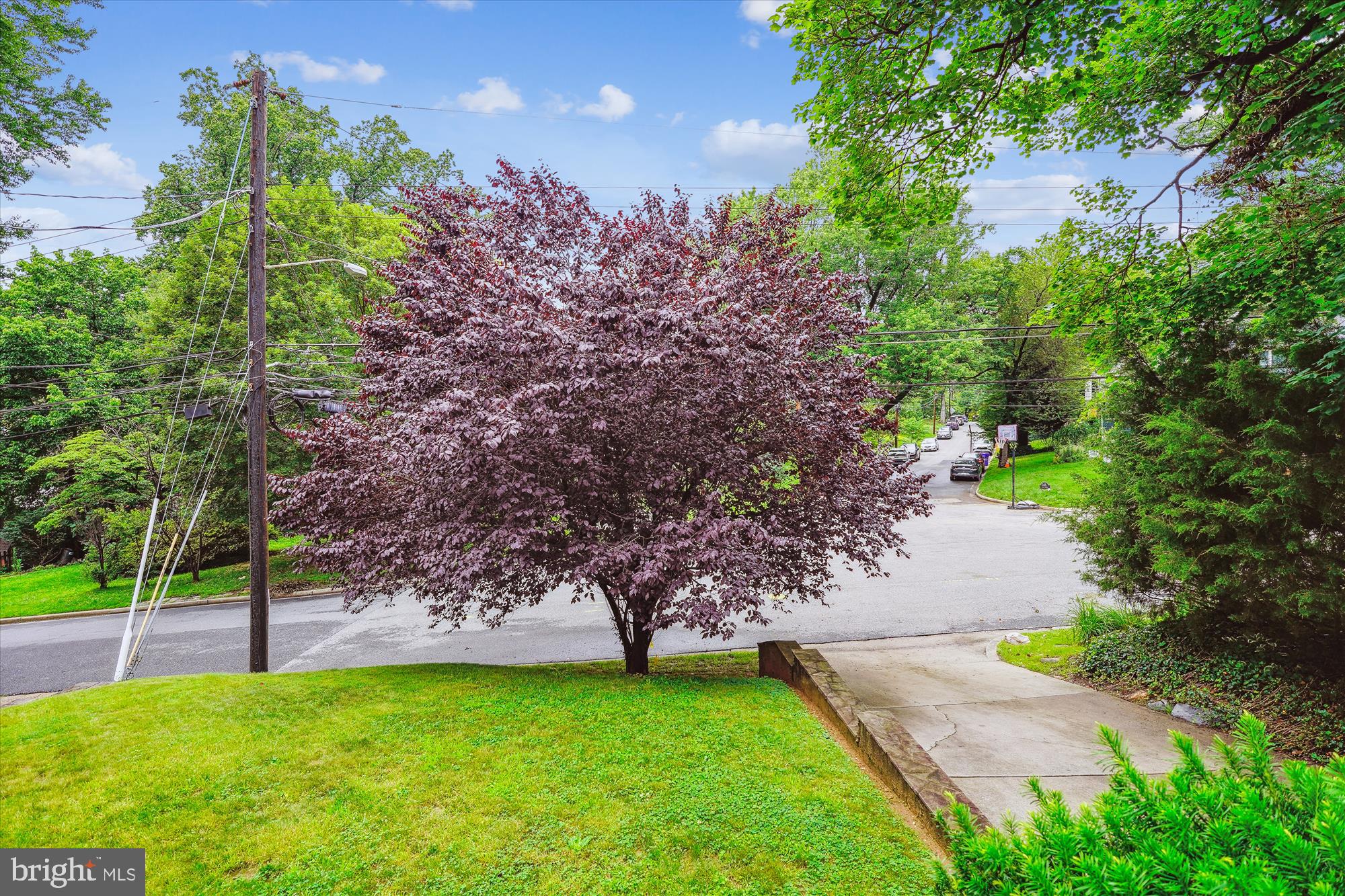 2106 Ross Road Silver Spring, MD 20910 - Photo 12 of 55