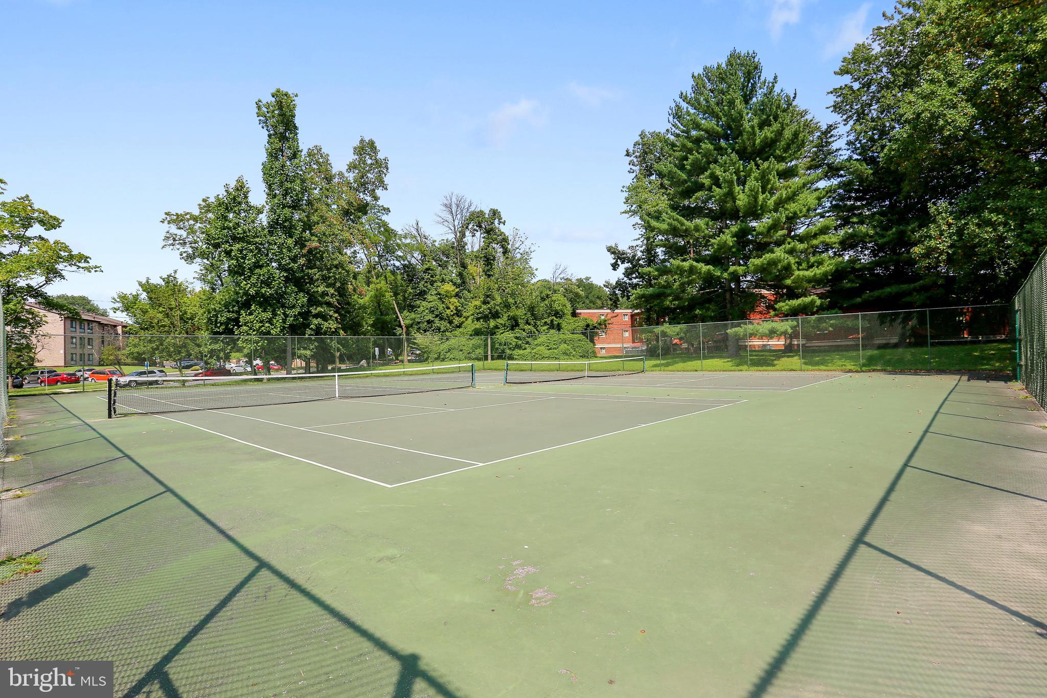 2106 Ross Road Silver Spring, MD 20910 - Photo 53 of 55