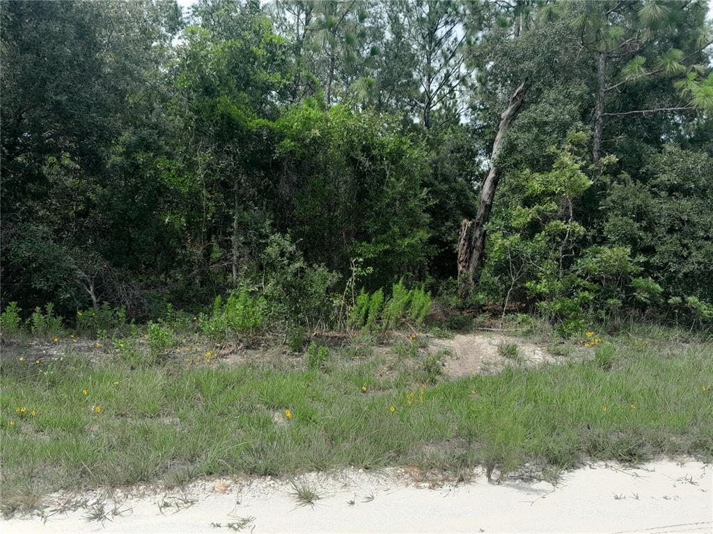 Tbd Southeast 28 Street Morriston, FL 32668 - Photo 3 of 9 a view of a yard