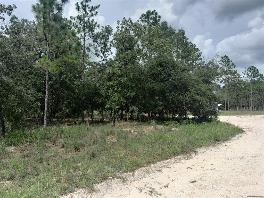 Tbd Southeast 28 Street Morriston, FL 32668 - Photo 7 of 9 a view of a park