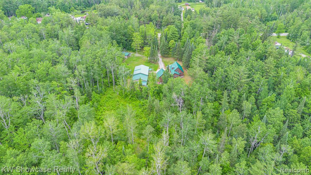 699 West Cherry Creek Road Mio, MI 48647 - Photo 2 of 18 Gallery Image 2