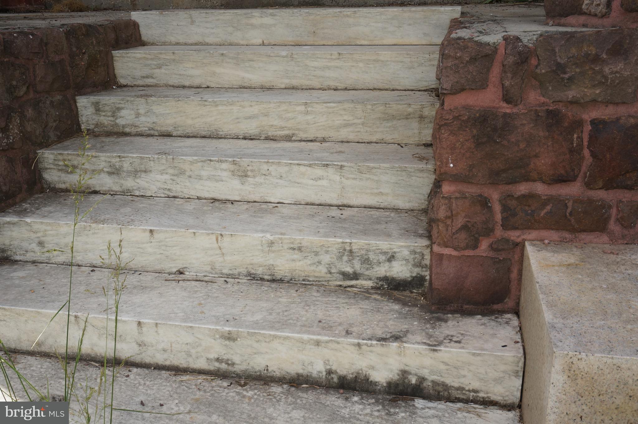1692 Schoolhouse Road Middletown, PA 17057 - Photo 70 of 90 Marble Front Stairs
