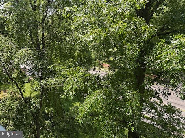 41 Conshohocken State Road, Unit 510 Bala Cynwyd, PA 19004 - Photo 24 of 32 a view of a lush green forest