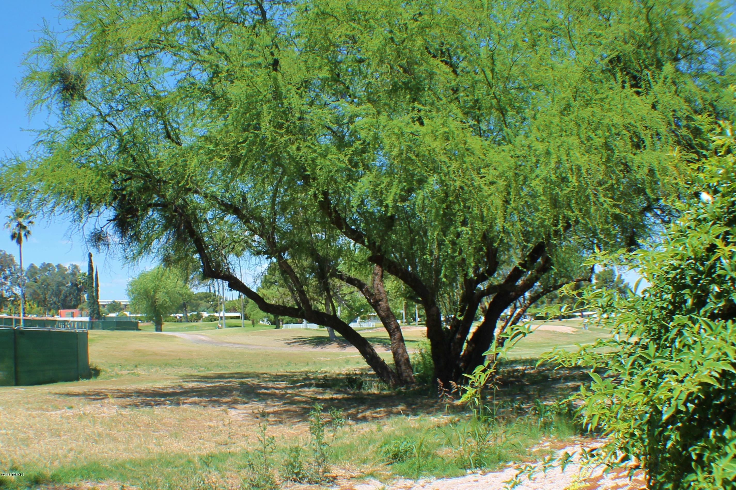 1301 North Vía Ronda Oeste Tucson, AZ 85715 - Photo 34 of 35