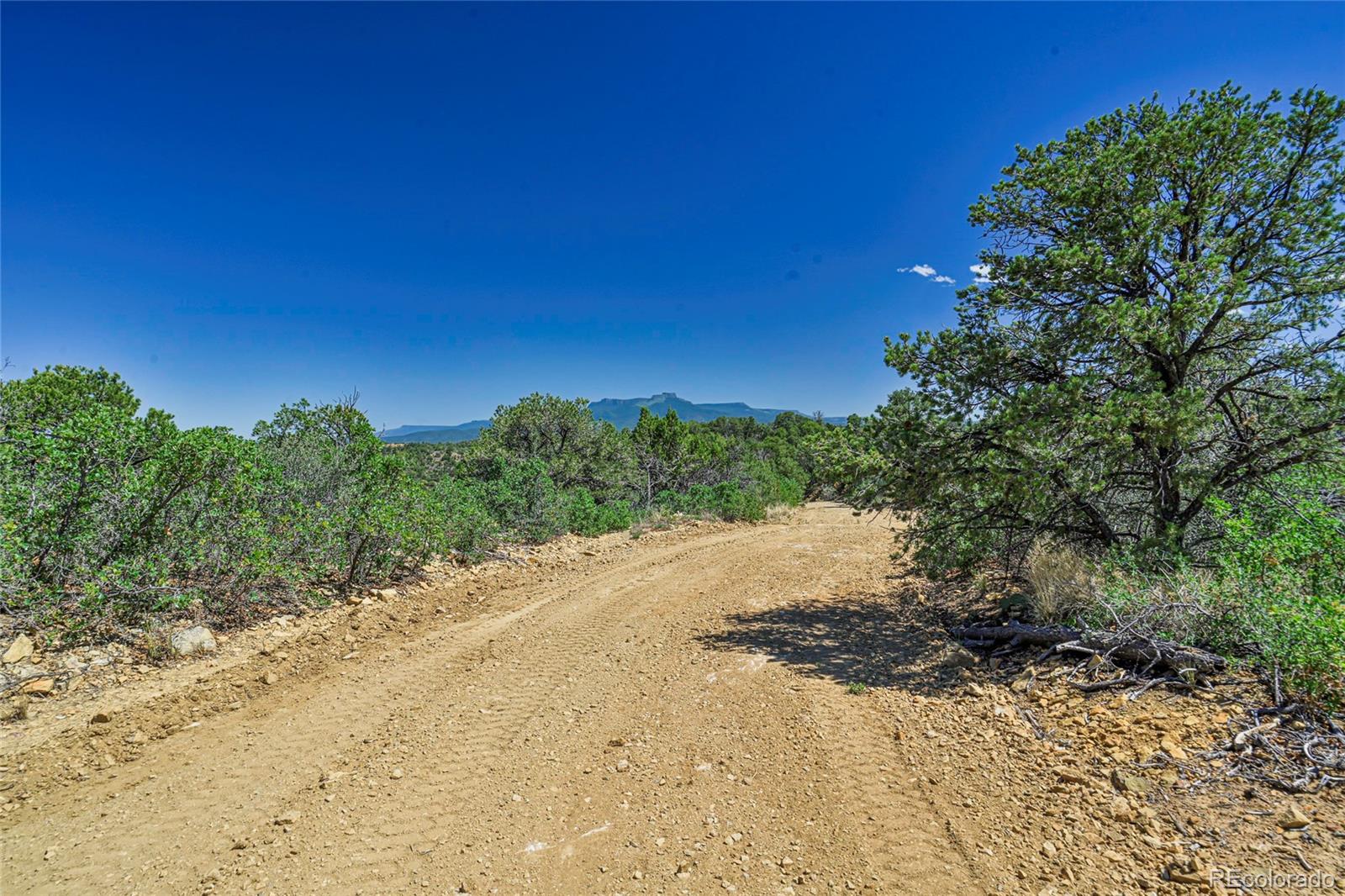 Fishers Peak Ranch Trinidad, CO 81082 - Photo 21 of 34