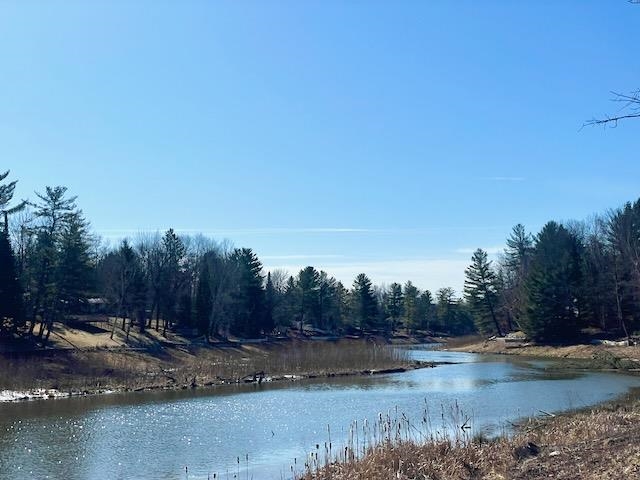 1040 Rivers Terrace Road Gladwin, MI 48624 - Photo 2 of 61