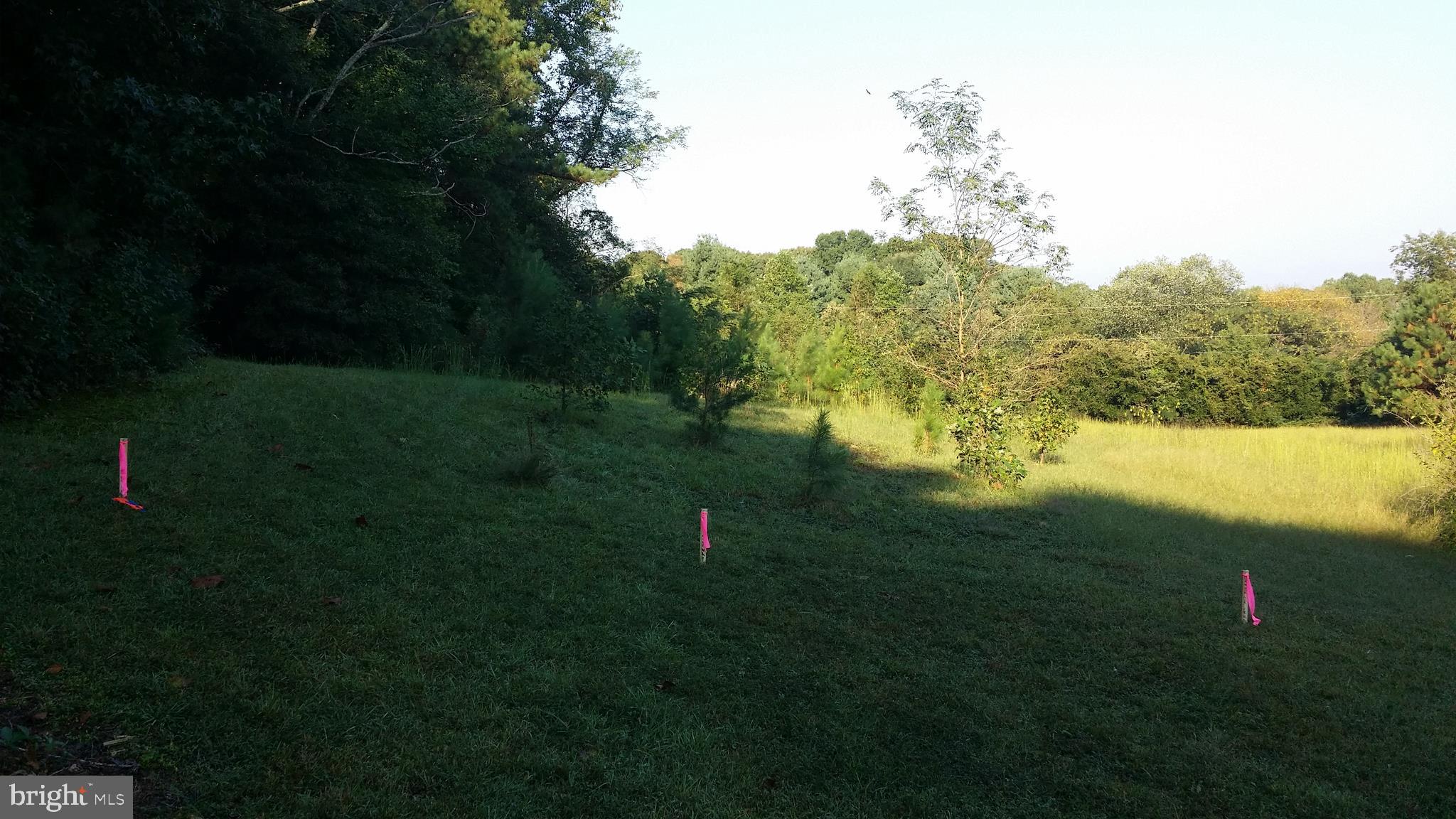 0 Tetotum Road King George, VA 22485 - Photo 3 of 8 Entrance to lot from deeded right-of-way/easement