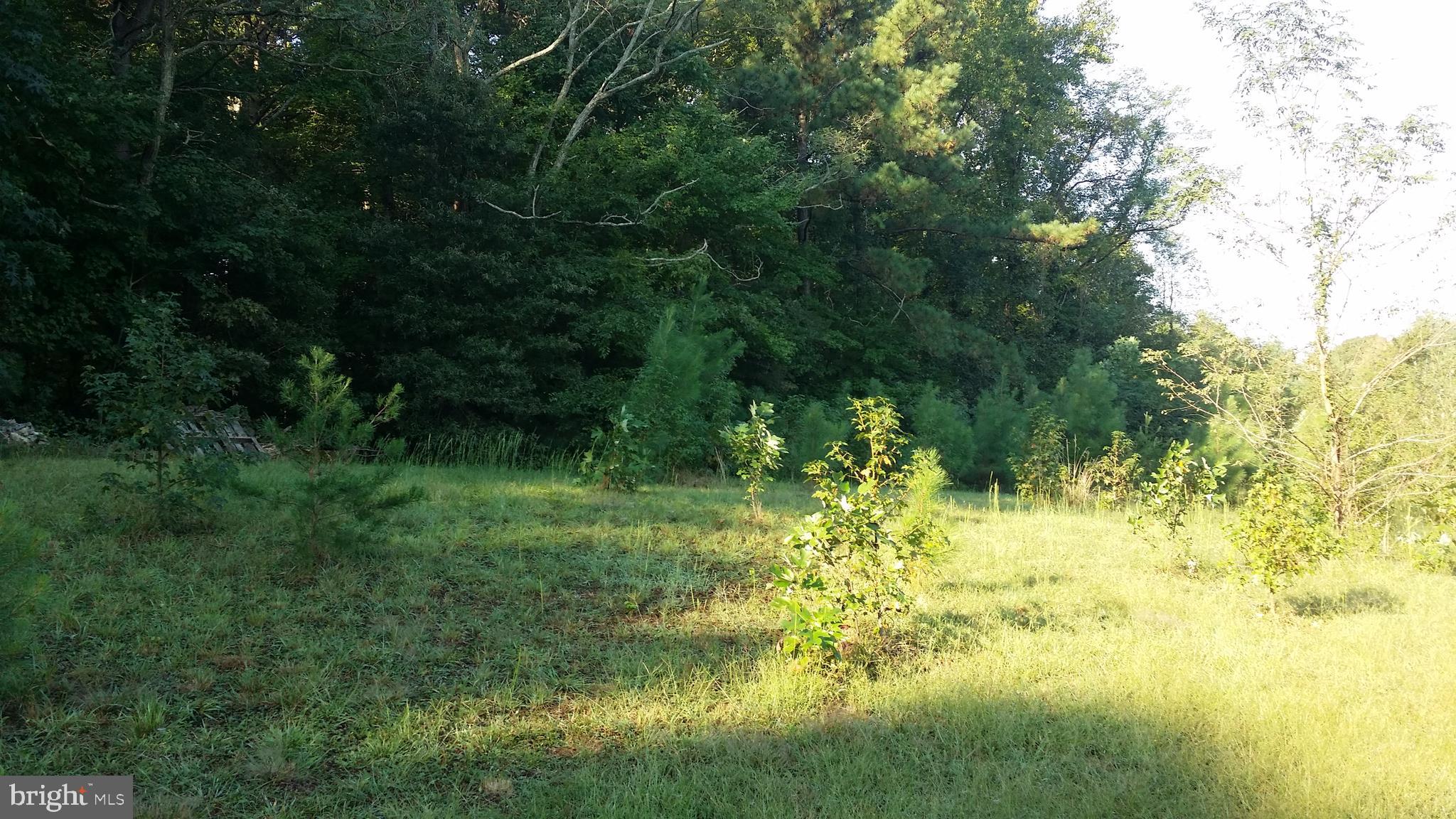 0 Tetotum Road King George, VA 22485 - Photo 4 of 8 Gallery Image 4