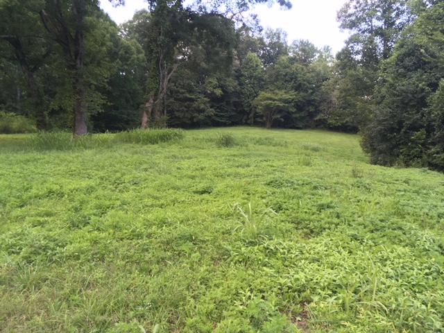 496 Northwest Bazel Road Harriman, TN 37748 - Photo 3 of 6 IMG_4092