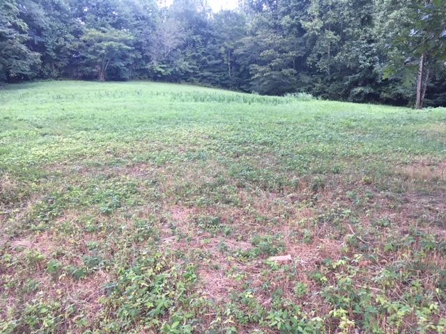 496 Northwest Bazel Road Harriman, TN 37748 - Photo 5 of 6 IMG_4087