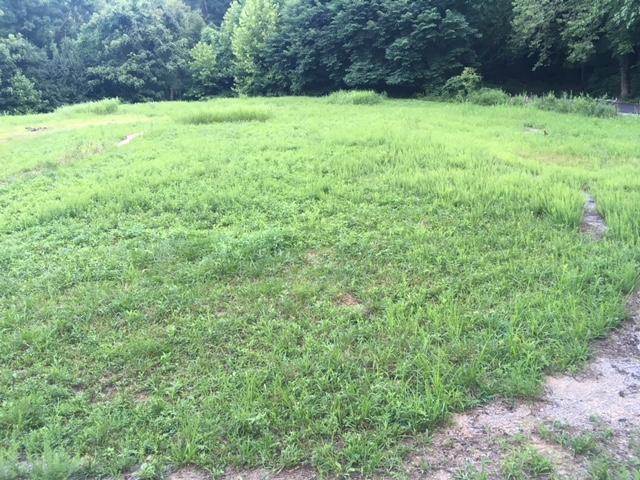496 Northwest Bazel Road Harriman, TN 37748 - Photo 6 of 6 IMG_4086