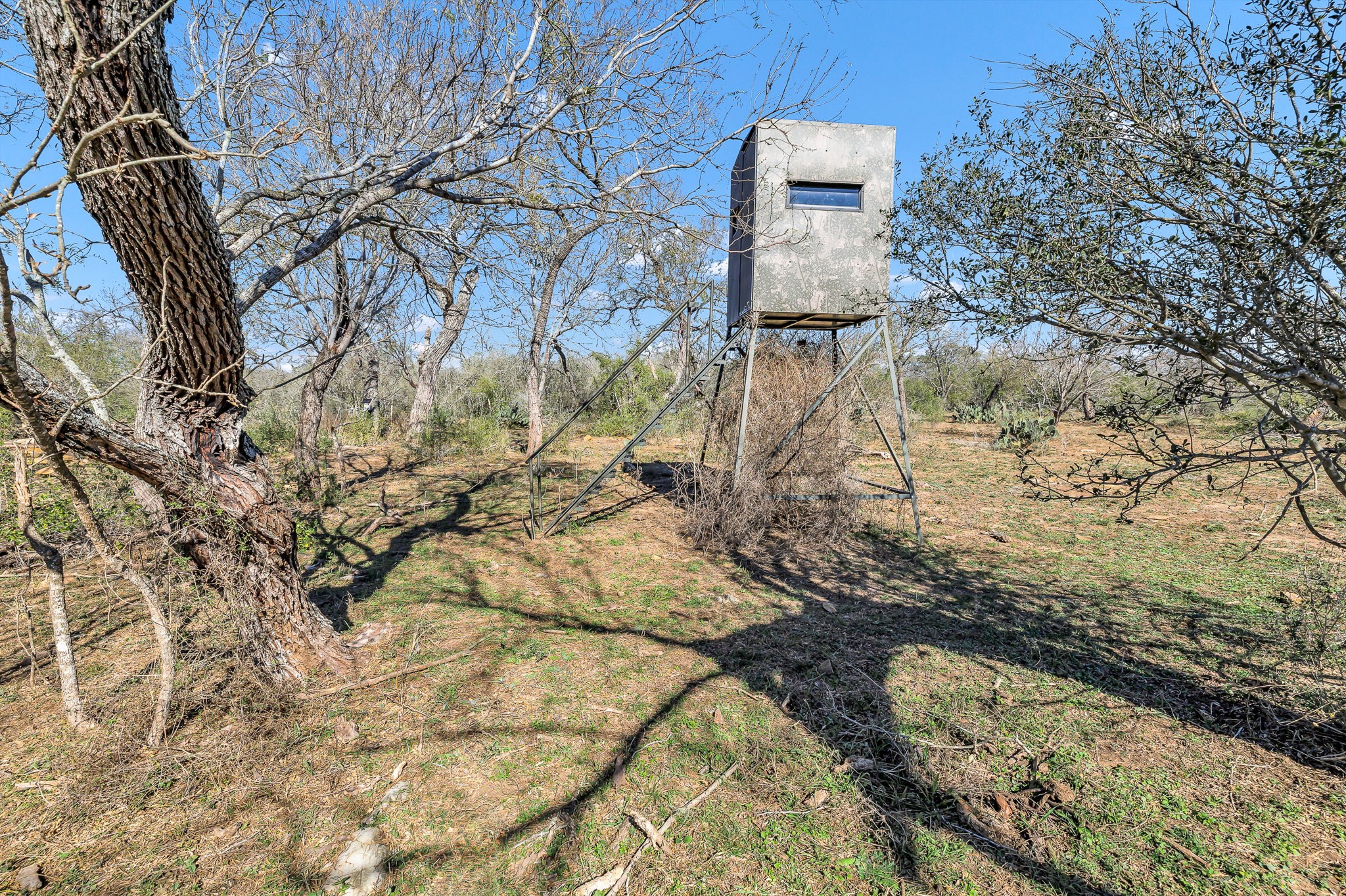 1335 North Gable Road St. Hedwig, TX 78152 - Photo 11 of 12