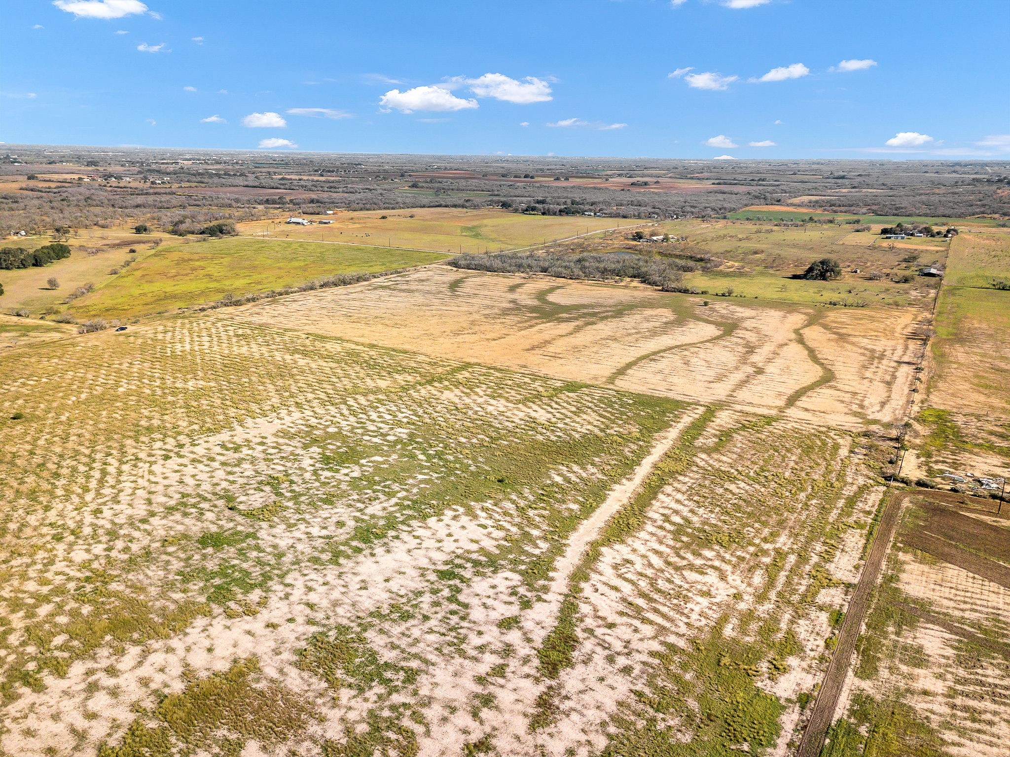 1335 North Gable Road St. Hedwig, TX 78152 - Photo 6 of 12