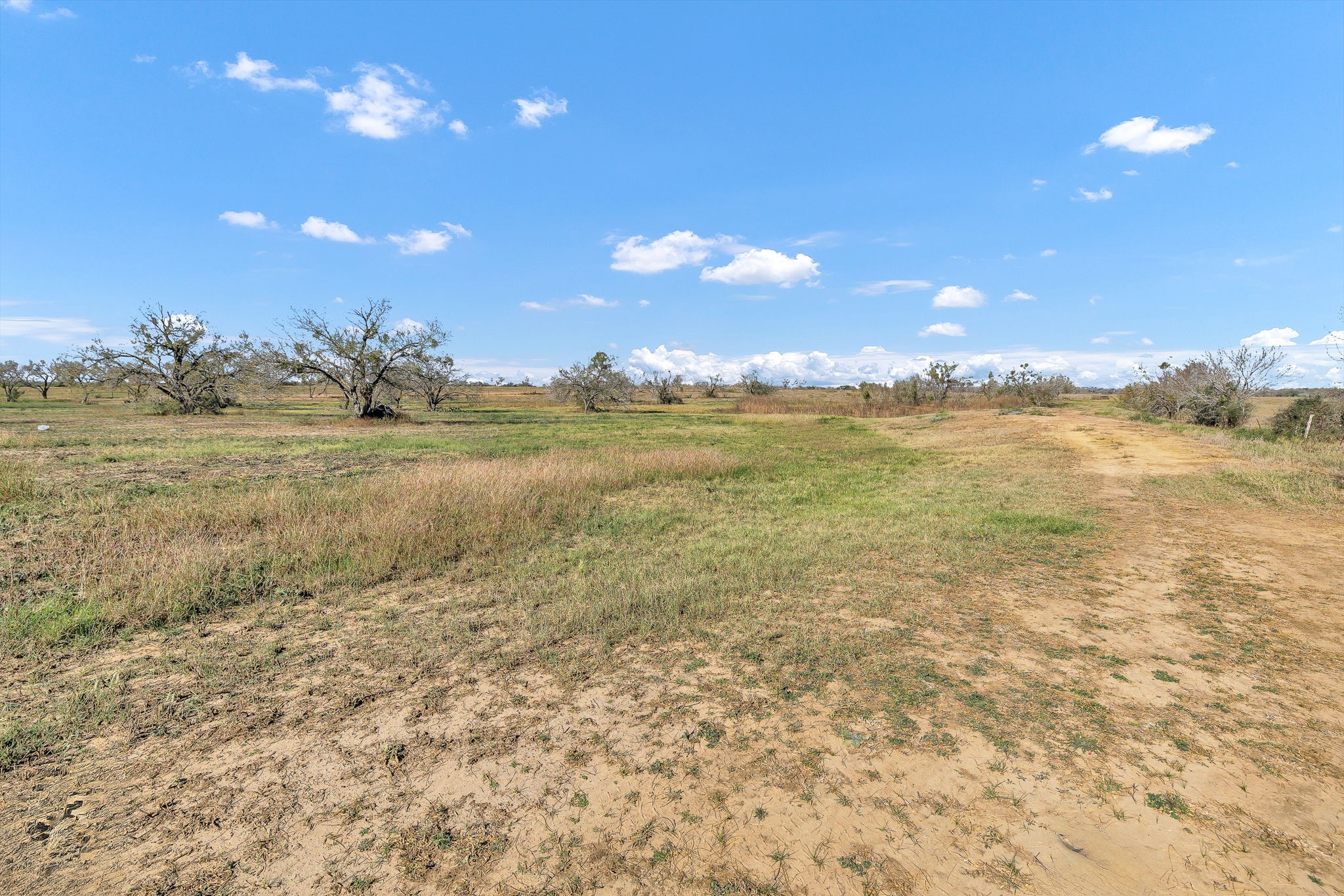 1335 North Gable Road St. Hedwig, TX 78152 - Photo 8 of 12