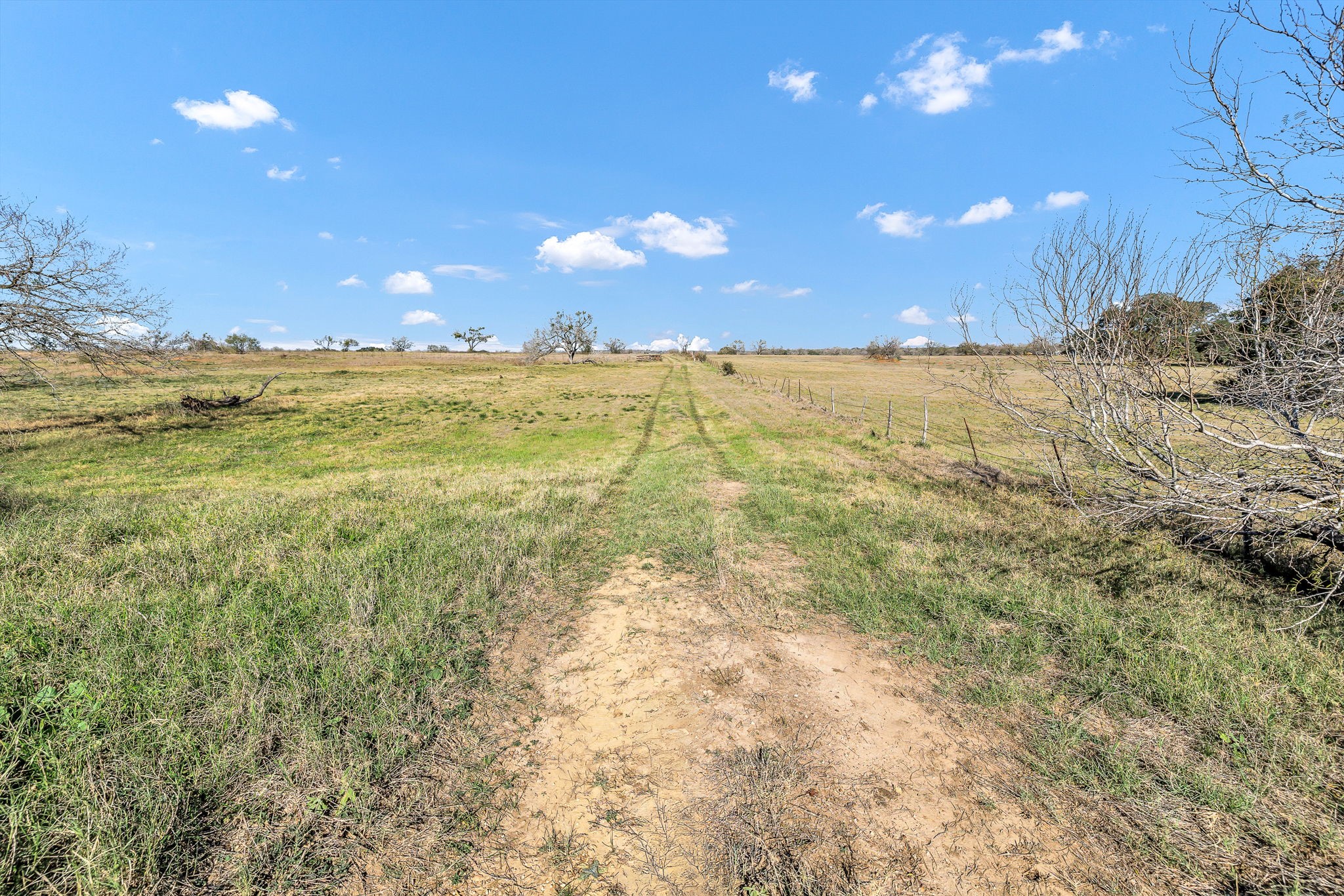 1335 North Gable Road St. Hedwig, TX 78152 - Photo 9 of 12