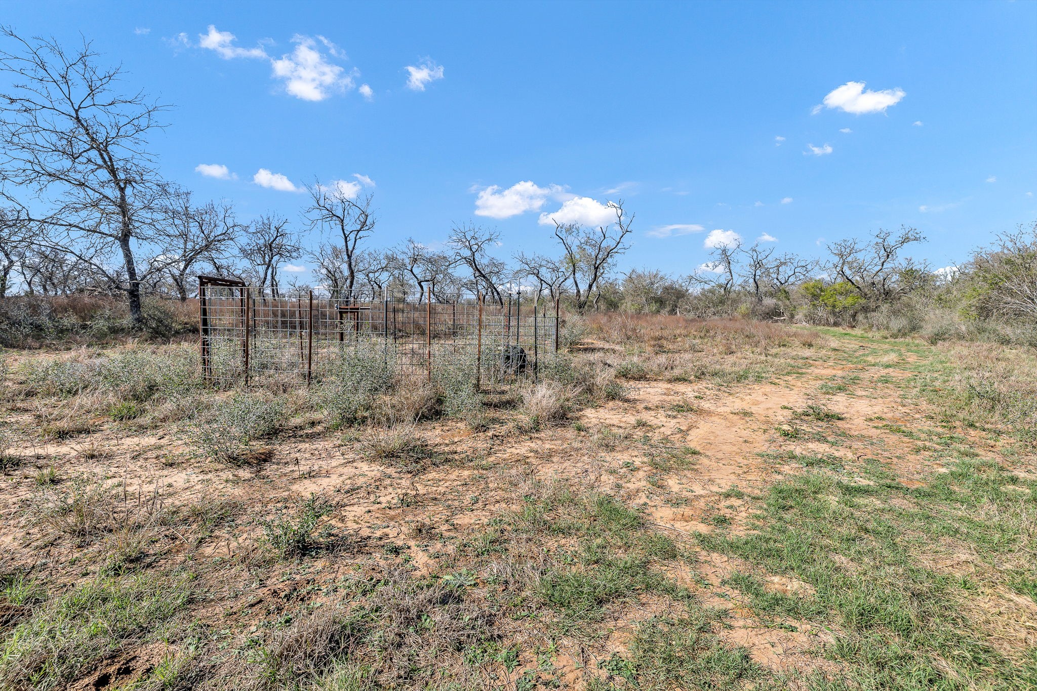 1335 North Gable Road St. Hedwig, TX 78152 - Photo 10 of 12