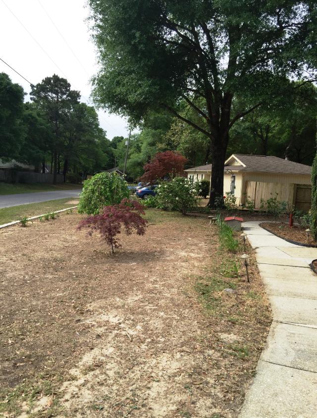 224 Springwood Circle Crestview, FL 32536 - Photo 21 of 41 IMG_1358