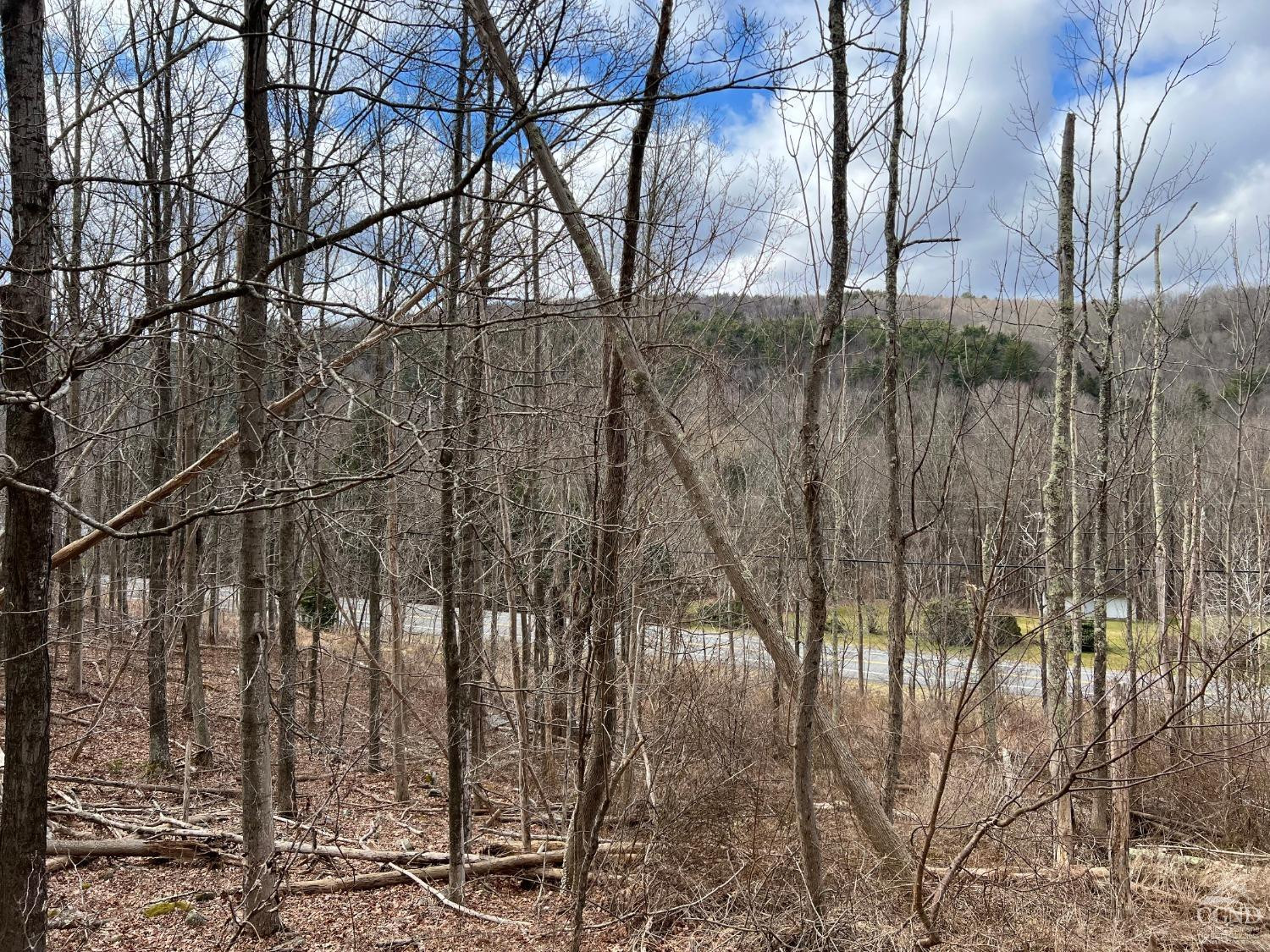 0 Route 23a Road Prattsville, NY 12468 - Photo 6 of 18 Photo 5