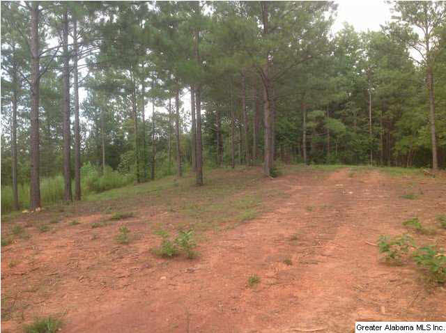 1900 Pepper Road, Unit 55 AC Ashland, AL 36251 - Photo 9 of 20