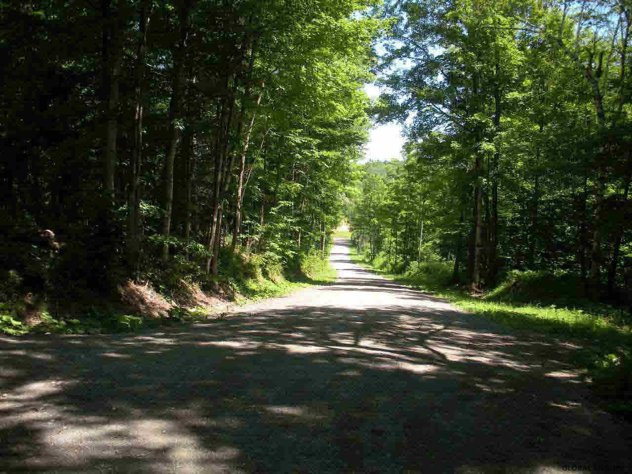 67 Wilson Ross Road Crown Point, NY 12928 - Photo 2 of 5 Photo 2