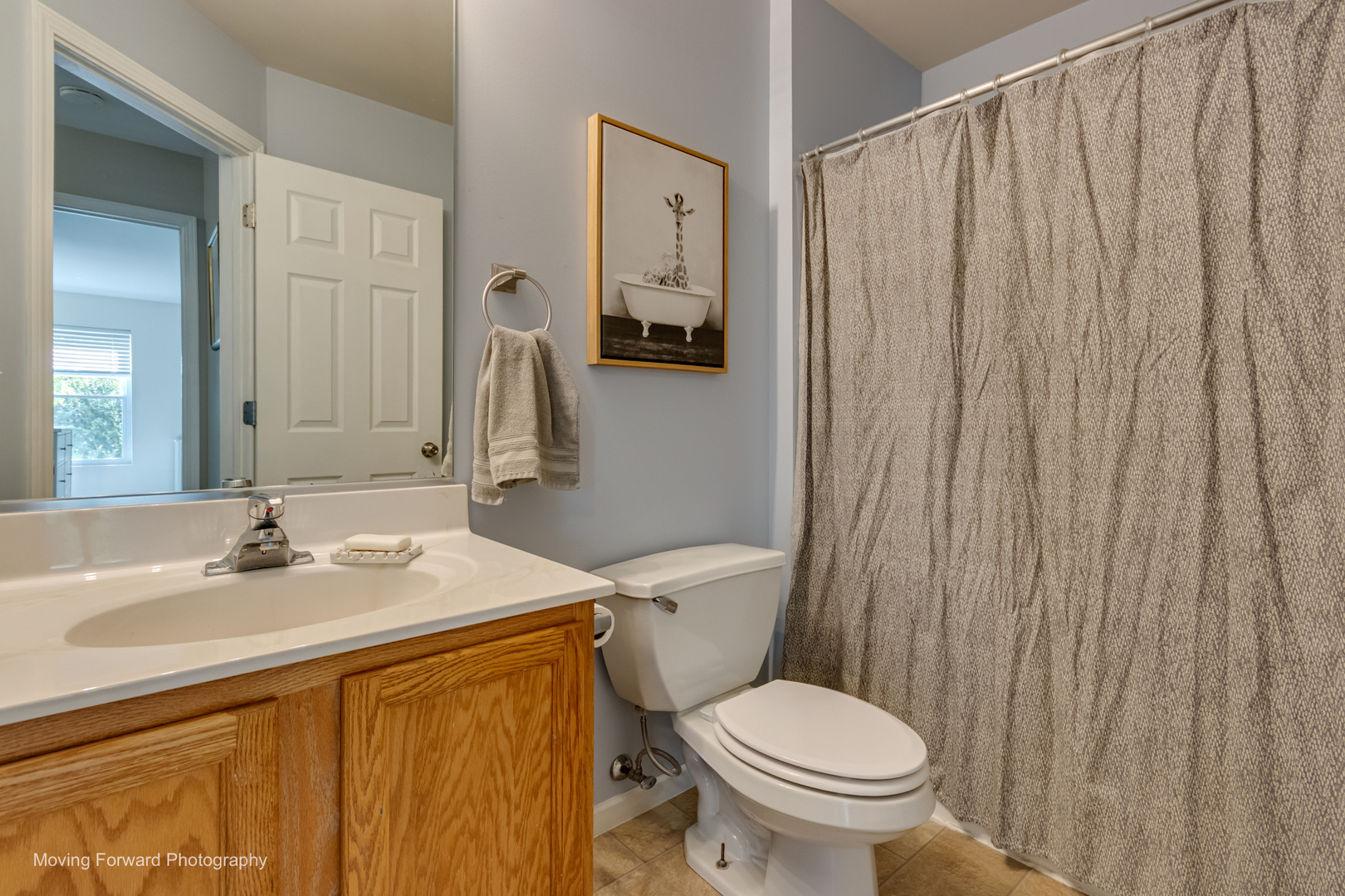 1803 Blue Ridge Drive Plainfield, IL 60586 - Photo 20 of 31