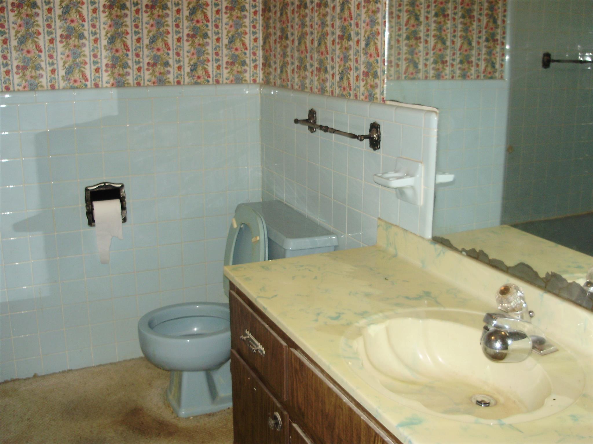 51 Ramah Road Leoma, TN 38468 - Photo 24 of 30 a bathroom with a sink and a toilet