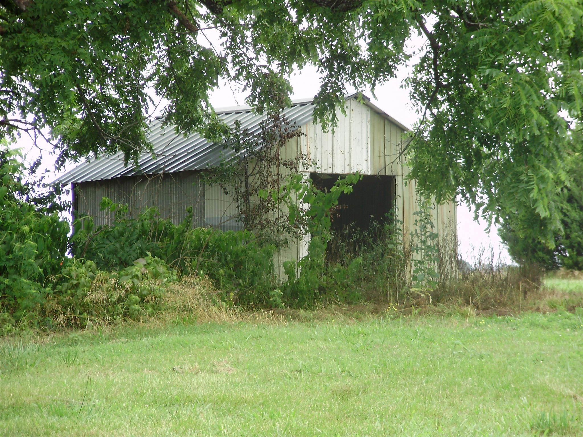 51 Ramah Road Leoma, TN 38468 - Photo 5 of 30 a view of a backyard with plants and large trees
