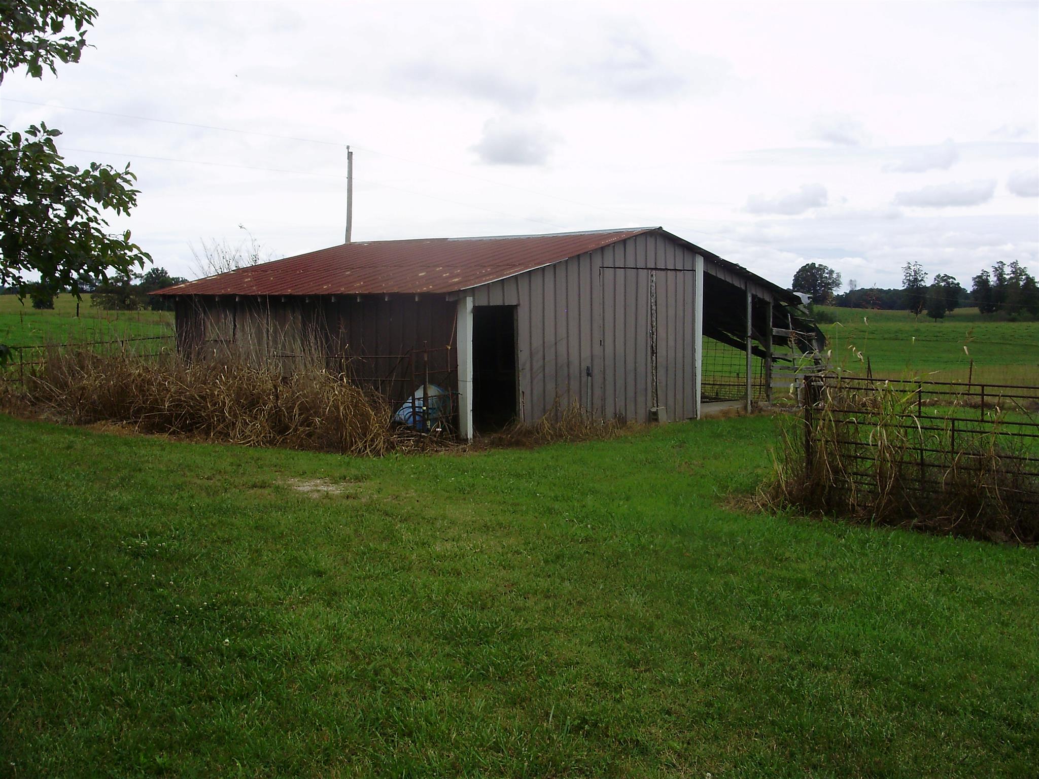 51 Ramah Road Leoma, TN 38468 - Photo 6 of 30 a backyard of a house with lots of green space